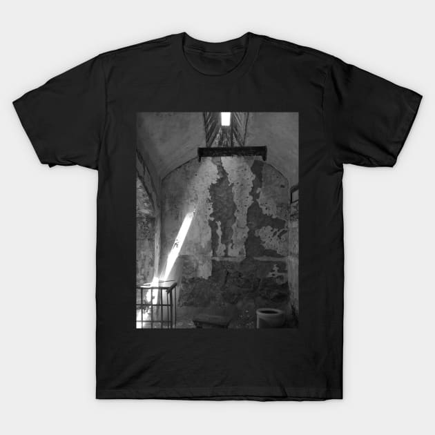 philadelphia, eastern state penitentiary T-Shirt by golan22may